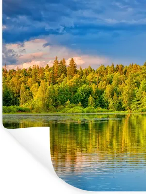 Produktbild von MuchoWow® Wandtattoo Wandsticker Wandaufkleber Wasser - Natur - Wald 30x40 cm Selbstklebend und Repositionierbar - Sticker - Dekorfolie