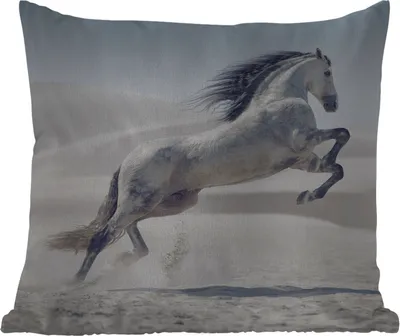 Produktbild von MuchoWow® Outdoor Kissen - Pferd - Tiere - Sand - Natur - 50x50 cm - Wetterfest - Lounge Kissen - Komfortabel - Kissen mit Bild