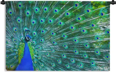 Produktbild von MuchoWow® Wandteppich Wandbehang Pfau - Blau - Tiere 90x60 cm Tapisserie Dekoration Wandtuch - Wandskulpturen - Bildteppich