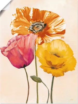 Produktbild von ARTland Poster Bunte Mohnblumen II Größe: 90x120 cm