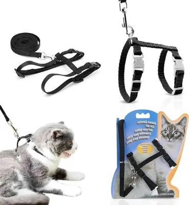 Sonstiges Katzenzubehör, Hauptbild