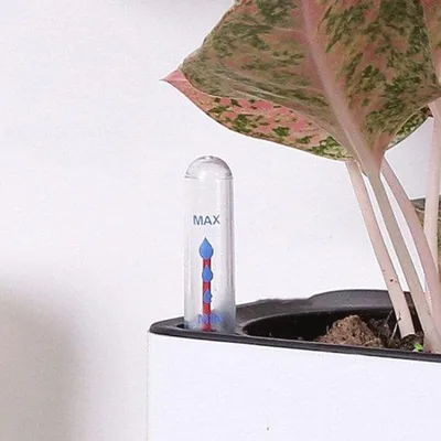 Image de Lot de 4 indicateurs de niveau d'eau pour plantes et pots de fleurs