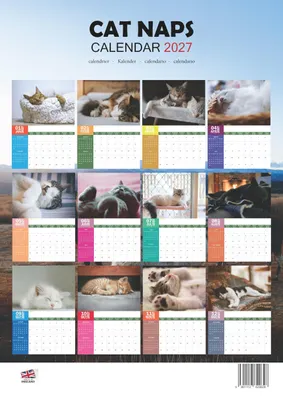 Productafbeelding van A3 wandkalender, 2027, met draadbinding, in kleur, voor planning