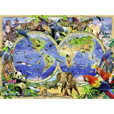 Image de World of Wildlife, 300 pièces.
