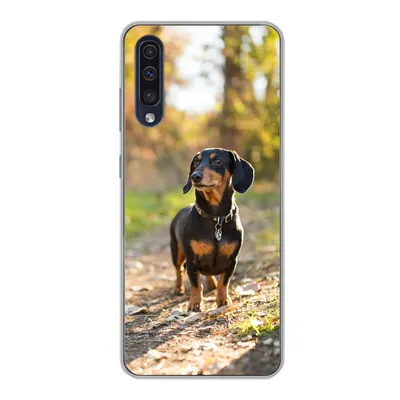 Produktbild von MuchoWow® Handyhülle Schutzhülle Hülle für Samsung Galaxy A30s Ein schöner Dackel im Wald Silikon Softcase Handy Hülle - Karteninhaber