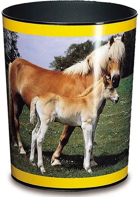 Obrázok produktu pre Laufer 26557, 13 L, Kolo, Plast, Viacfarebný, 24,5 cm, 300 mm