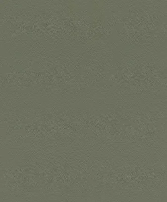 Immagine prodotto di Carta da parati in tessuto non tessuto 752687 Carta da parati a tinta unita 53 x 1005 cm Rasch African Queen III Verde