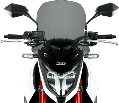 Immagine prodotto di Wscrn Tour Hornet 750 Dk Sk
