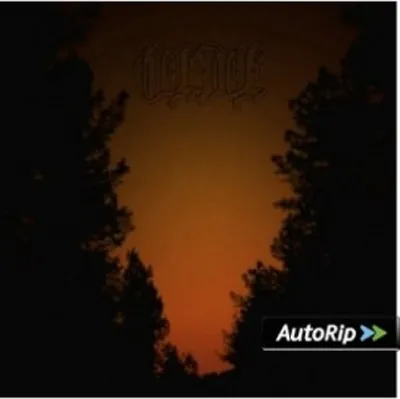 Produktbild von Olde-The Gates Of Dawn