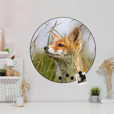 Produktbild von Design Stahlmagnettafel Schwarz Rund 47cm Fuchs