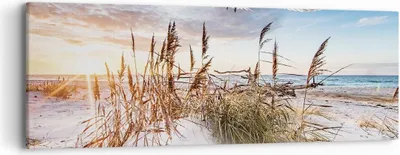 Produktbild von Bild auf Leinwand - Leinwandbild - Einteilig - Möwe Meer Küste - 90x30cm - Wand Bild - Wanddeko - Wandbilder - Leinwanddruck - Bilder - Wanddekoration - Leinwand bilder - Wandbild - AB90x30-4902