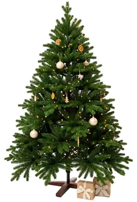 Produktbild von VIVANNO Weihnachtsbaum Polyethylen NORDMANN LED 180 Rund, Grün naturgetreu - 127x180 cm