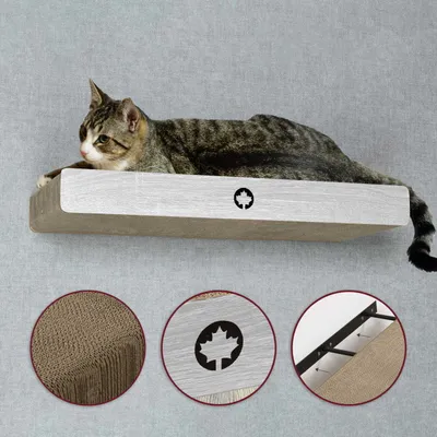 Produktbild von CanadianCat C10137, Katzenkratzbett, Freistehend, Beige, Grau, Karton, Karton, 700 mm