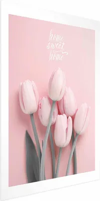Produktbild von Posterpapier Poster - Six Tulips 40x60 cm Blumen b-C-0336-ao-a