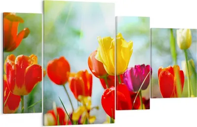 Produktbild von Bild auf Leinwand - Leinwandbild - Tulpe Blume Plantage Wiese - 120x70cm - Wand Bild - Wanddeko - Leinwanddruck - Bilder - Kunstdruck - Wanddekoration - Leinwand bilder - Wandkunst - DL120x70-2566
