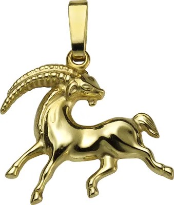 Produktbild von F Anhänger Sternzeichen Steinbock 333/- Gold 2,0cm gelb 371340627-010