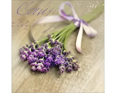Produktbild von Glasbild Lovely Lavender II 50x50 cm