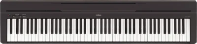 Produktbild von YAMAHA P-45 Klavier digital NP45B
