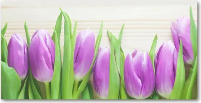 Produktbild von Tulup Glas-Bild -140x70- Wandkunst Dekorative Wand für Küche & Wohnzimmer - Blumen & Pflanzen - Lila Tulpen - Lila