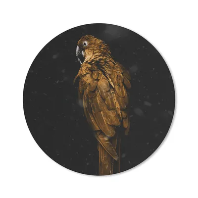 Produktbild von MuchoWow® Mauspad Mousepad Papagei - Gold - Schwarz 30x30 cm - Mousepads - Maus Mat - Pad - Mausunterlage - Tischunterlage - Schreibtischmatten