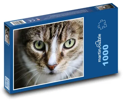 Zdjęcie produktu dla martinpuzzle - Puzzle 1000 - Kot - oczy