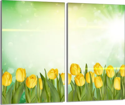 Immagine prodotto di Piastre copriforno 2 pezzi 30x52 Vetro copriforno in Vetroceramica, giallo tulipano