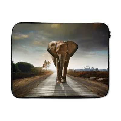 Produktbild von MuchoWow® Laptop Hülle 17 Zoll Laptoptasche Elefant - Straße - Tiere - Sonnenuntergang - Landschaft - Zipper - Schutzabdeckung