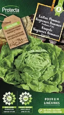 Productafbeelding van Protecta Groente zaden: Kropsla Kagranner Sommer 2