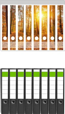 Produktbild von Wallario 8 Stück schmale Ordner inkl. Klebeetiketten mit Motive Sonnenuntergang im herbstlichen Wald -  Set mit Rückenschildern / Ordnerrücken Stickern