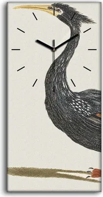 Produktbild von Wanduhr Uhr Wandbild Leinwand Geräuschlos 30x60 Zeichnung Tier Vogel Kunst - schwarze Hände