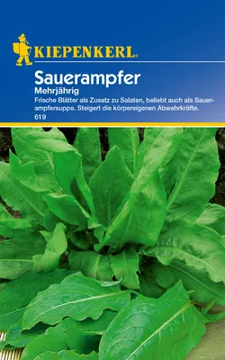 Produktbild von Sauerampfer (mehrjährig), frische Blätter als zusatz für Salate, Inhalt für ca. 150 Pflanzen