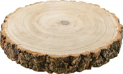 Holzscheibe Baumscheibe Deko Hochzeit 1 Stück 26 x 4 cm Tisch-Deko Geburtstag Basteln DIY Winter Weihnachtszeit Tischdekoration