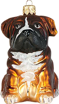 Produktbild von Christbaumschmuck Glas Hund Boxer 8cm braun