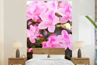 Produktbild von MuchoWow® Fototapete für Wohnzimmer oder Schlafzimmer Wandtapete Vinyl Motivtapete Azaleenblüten - 145x220 cm - Wanddekoration