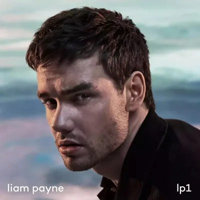 Immagine prodotto di Lp1