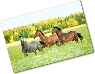 Produktbild von Tulup Glas Herdabdeckplatte - 80x52 cm - Glaskeramikkochfeld-Abdeckung Spritzschutz Glasabdeckplatte - Einteilig - Tiere - Pferde im Galopp - Grün