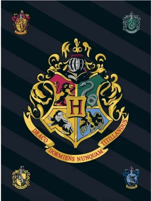 Produktbild von Harry Potter Hogwarts Wappen Fleecedecke 100 x 140 cm