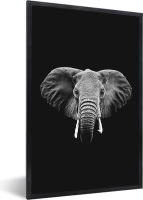Produktbild von MuchoWow® Gerahmtes Poster Elefant auf schwarzem Hintergrund - schwarz und weiß 40x60 cm - Poster mit Schwarzem Bilderrahmen Wandposter Rahmen Foto Bilder - Papierdruck - Wandbilder