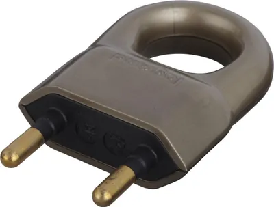 Image de Fiche électrique mâle 2 pôles, 6 A, LEGRAND
