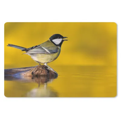 Produktbild von MuchoWow® Schreibtischunterlage Kohlmeise - Vogel - Wasser 60x40 cm - XXL Mauspad - Großes Mauspad