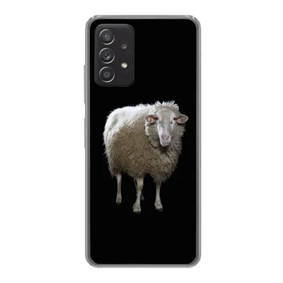 Produktbild von MuchoWow® Handyhülle Schutzhülle Hülle für Samsung galaxy a73 Schafe - Nutztiere - Schwarz Silikon Softcase Handy Hülle - Handyhülle