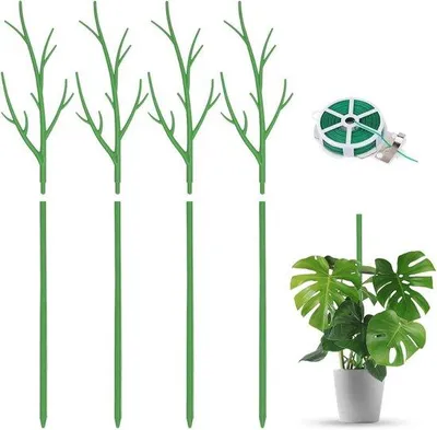 Immagine prodotto di Supporti rampicanti per piante da appartamento - 70 cm - 4 pezzi - ideali per piante rampicanti