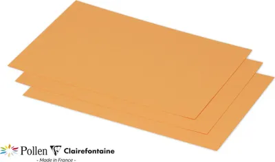 Immagine prodotto di Confezione da 25 carte Polline, C5