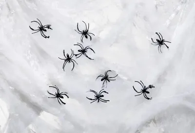 Produktbild von Rubies Riesen Spinnennetz mit 12 Spinnen