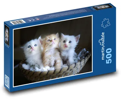 Obrázok produktu pre Puzzle 500 Tri rozkošné mačiatka v košíku - martinpuzzle