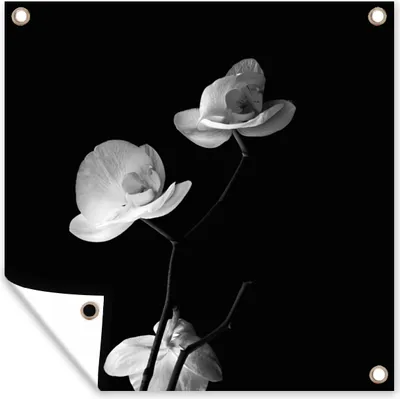 Produktbild von MuchoWow® 50x50 cm Outdoor-Poster Gartendeko Sichtschutz Garten Poster für den Garten  Orchidee - Blumen - Schwarz - Weiß - Stilleben