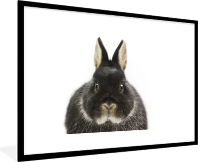 Produktbild von MuchoWow® Gerahmtes Poster Kaninchen - Haustiere - Fell 90x60 cm - Poster mit Schwarzem Bilderrahmen Wandposter Rahmen Foto Bilder - Wanddekoration - Fotos