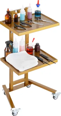 Obrázok produktu pre VEVOR laboratórny vozík z nehrdzavejúcej ocele s 2 úrovňami, laboratórny vozík s 2 policami, mobilný zdravotnícky vozík so 4 tichými kolieskami, laboratórny vozík pre laboratórium, kliniku, nemocnicu, salón, Golden