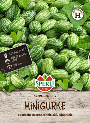 Produktbild von SPERLI Minigurkensamen Sandia Melothria scabra 12 Pflanzen