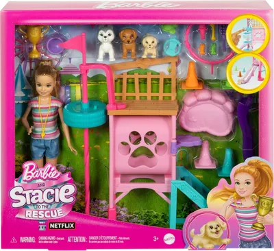 A Barbie and Stacie doll playset with dog accessories, packaged in a pink box.